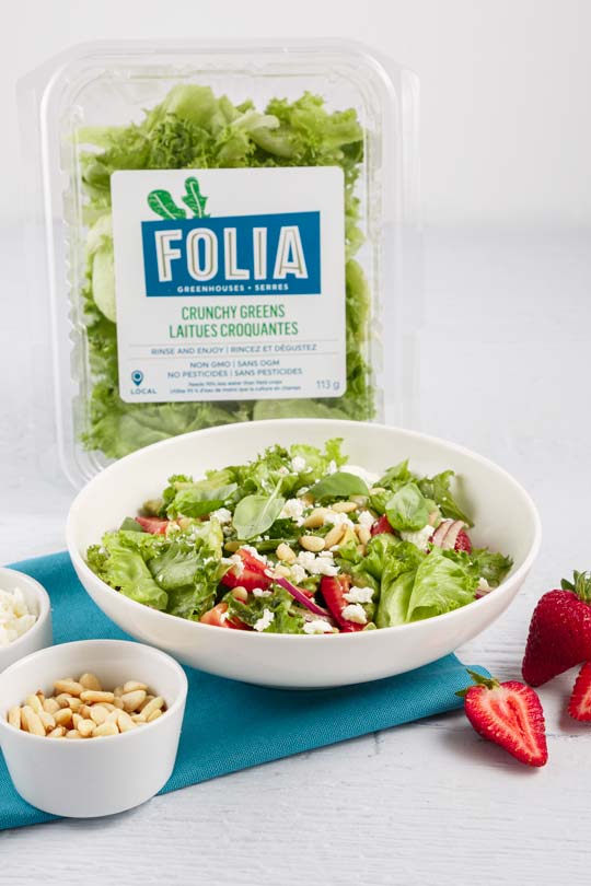 Serres Folia - Recette de salade croquante